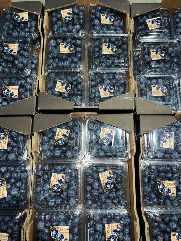 exportation fruits et legumes , fruitnet , Apeks , export fruits and vegetables , the best moroccan exporter , moroccan fruits and vegetables , morocco fruit exports ,Exporting fruits and vegetables in Morocco , exportateur fruits et légumes maroc