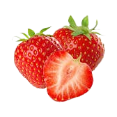 exportation fruits et legumes , fruitnet , Apeks , export fruits and vegetables , the best moroccan exporter , moroccan fruits and vegetables , morocco fruit exports ,Exporting fruits and vegetables in Morocco , exportateur fruits et légumes maroc
