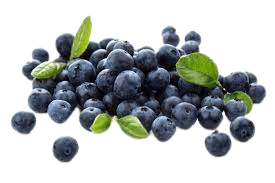 exportation fruits et legumes , fruitnet , Apeks , export fruits and vegetables , the best moroccan exporter , moroccan fruits and vegetables , morocco fruit exports ,Exporting fruits and vegetables in Morocco , exportateur fruits et légumes maroc