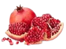 exportation fruits et legumes , fruitnet , Apeks , export fruits and vegetables , the best moroccan exporter , moroccan fruits and vegetables , morocco fruit exports ,Exporting fruits and vegetables in Morocco , exportateur fruits et légumes maroc