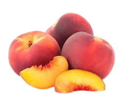exportation fruits et legumes , fruitnet , Apeks , export fruits and vegetables , the best moroccan exporter , moroccan fruits and vegetables , morocco fruit exports ,Exporting fruits and vegetables in Morocco , exportateur fruits et légumes maroc